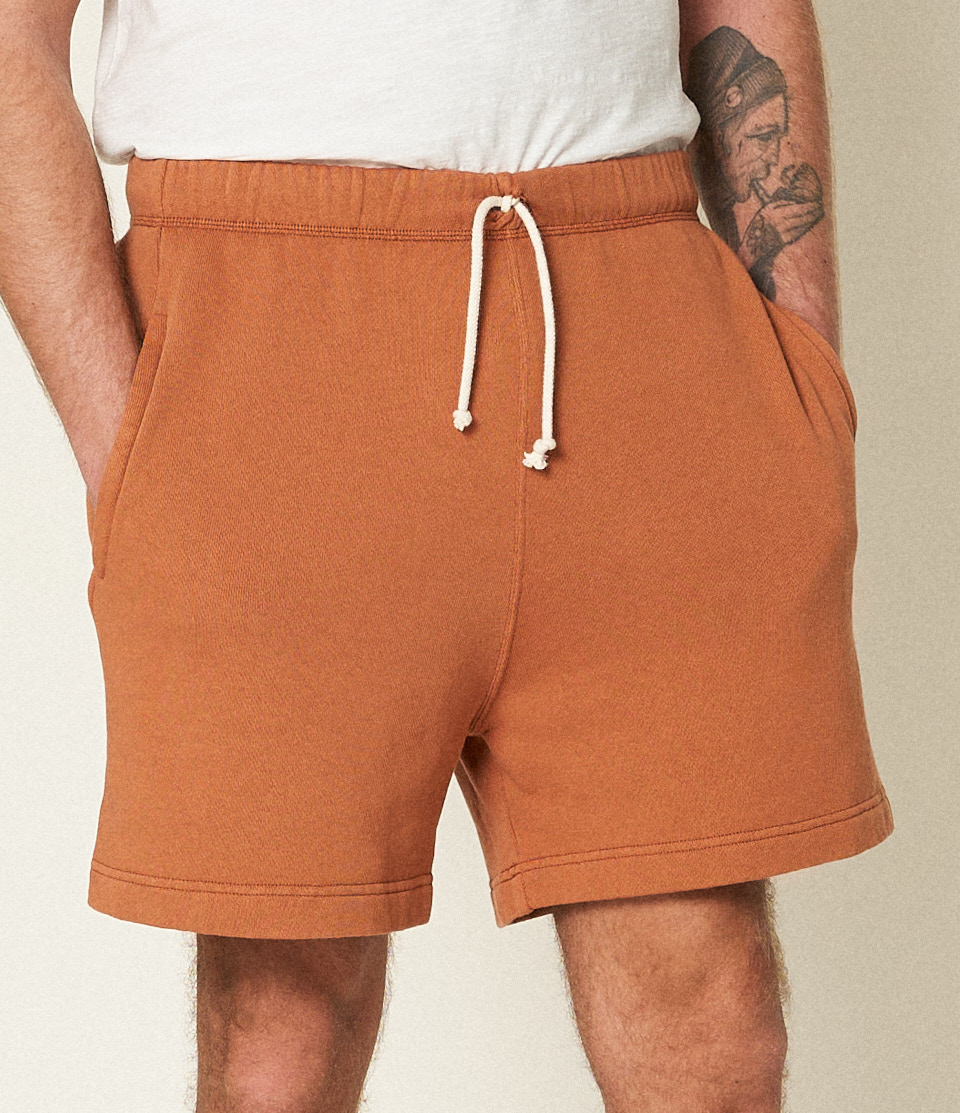 Brown Merz B. Schwanen SPS05 Men Sweatshorts | MERZ9476312