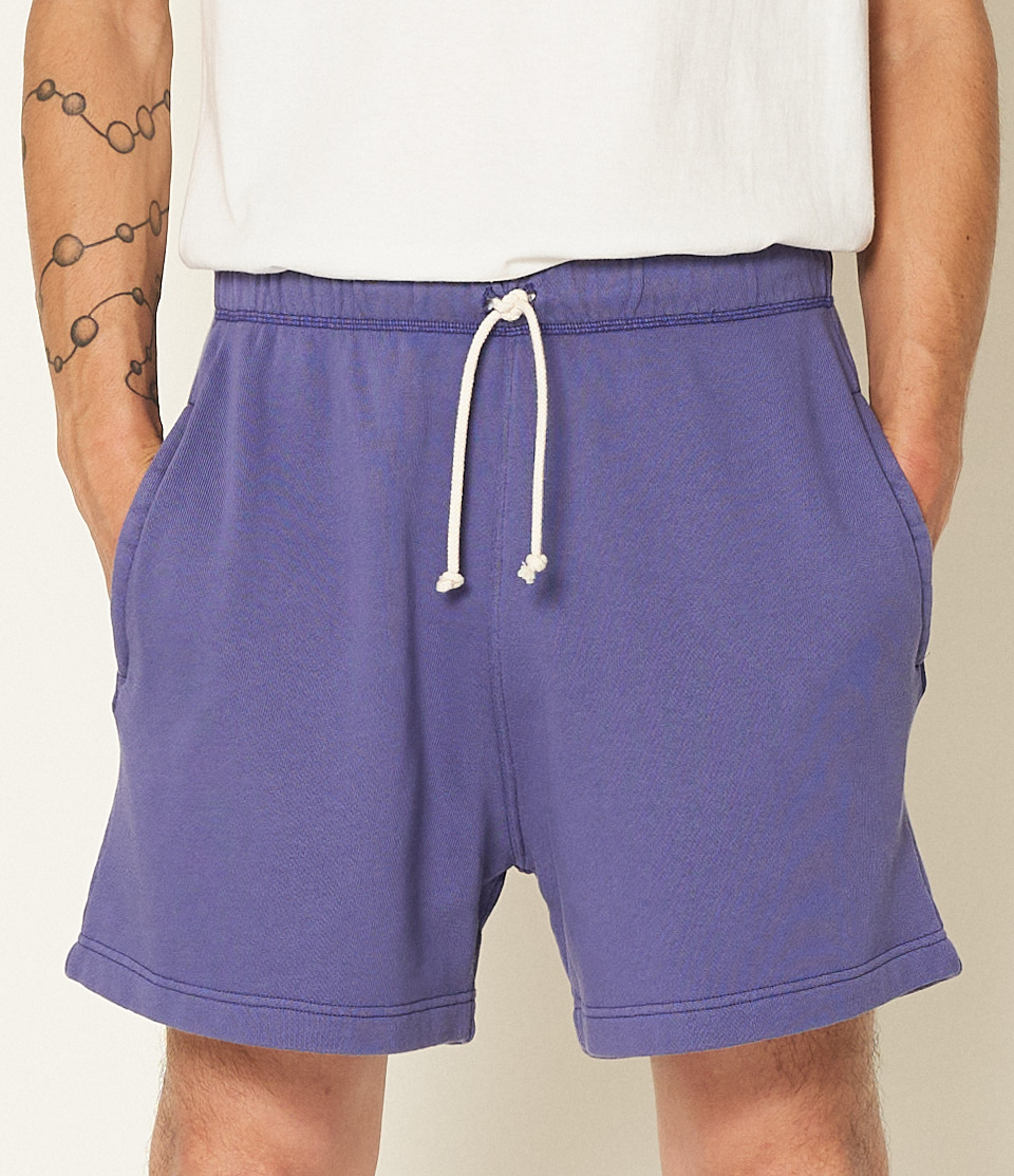 Purple Blue Merz B. Schwanen SPS05 Men Sweatshorts | MERZ2435901